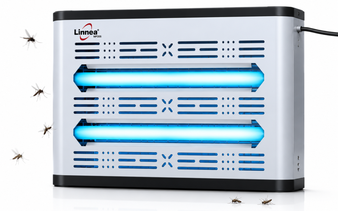Industrial fly catcher machine Linnea installed in commercial kitchen by Flintron Tech