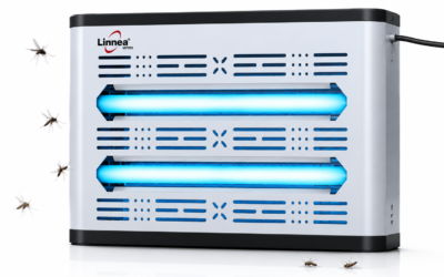 Industrial Fly Catcher vs Fly Killer: Key Differences